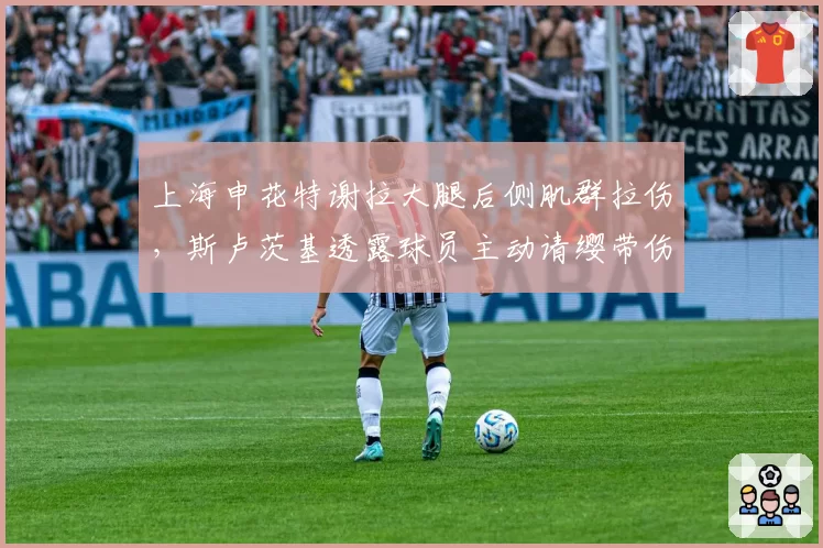 上海申花特谢拉大腿后侧肌群拉伤,斯卢茨基透露球员主动请缨带伤上阵被拒