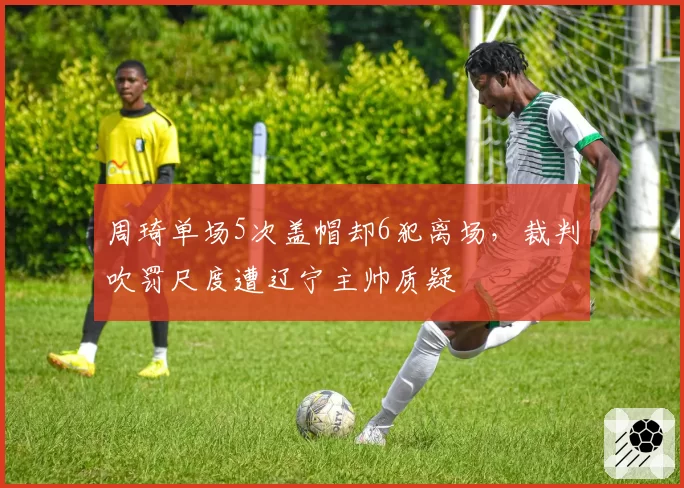 周琦单场5次盖帽却6犯离场，裁判吹罚尺度遭辽宁主帅质疑