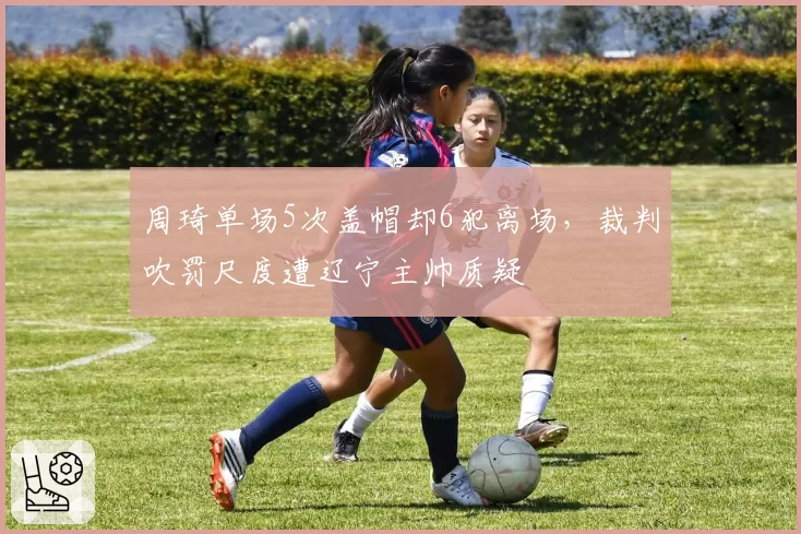 周琦单场5次盖帽却6犯离场，裁判吹罚尺度遭辽宁主帅质疑